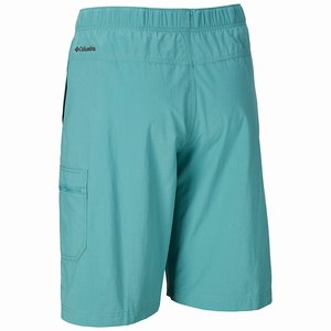 Columbia Palmerston Peak™ Vatten Short Herr Blå (XWRDL1487)